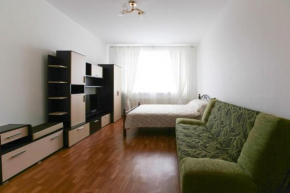 Аpartment on Avtozavodskaya 3, Zheleznodorozhny